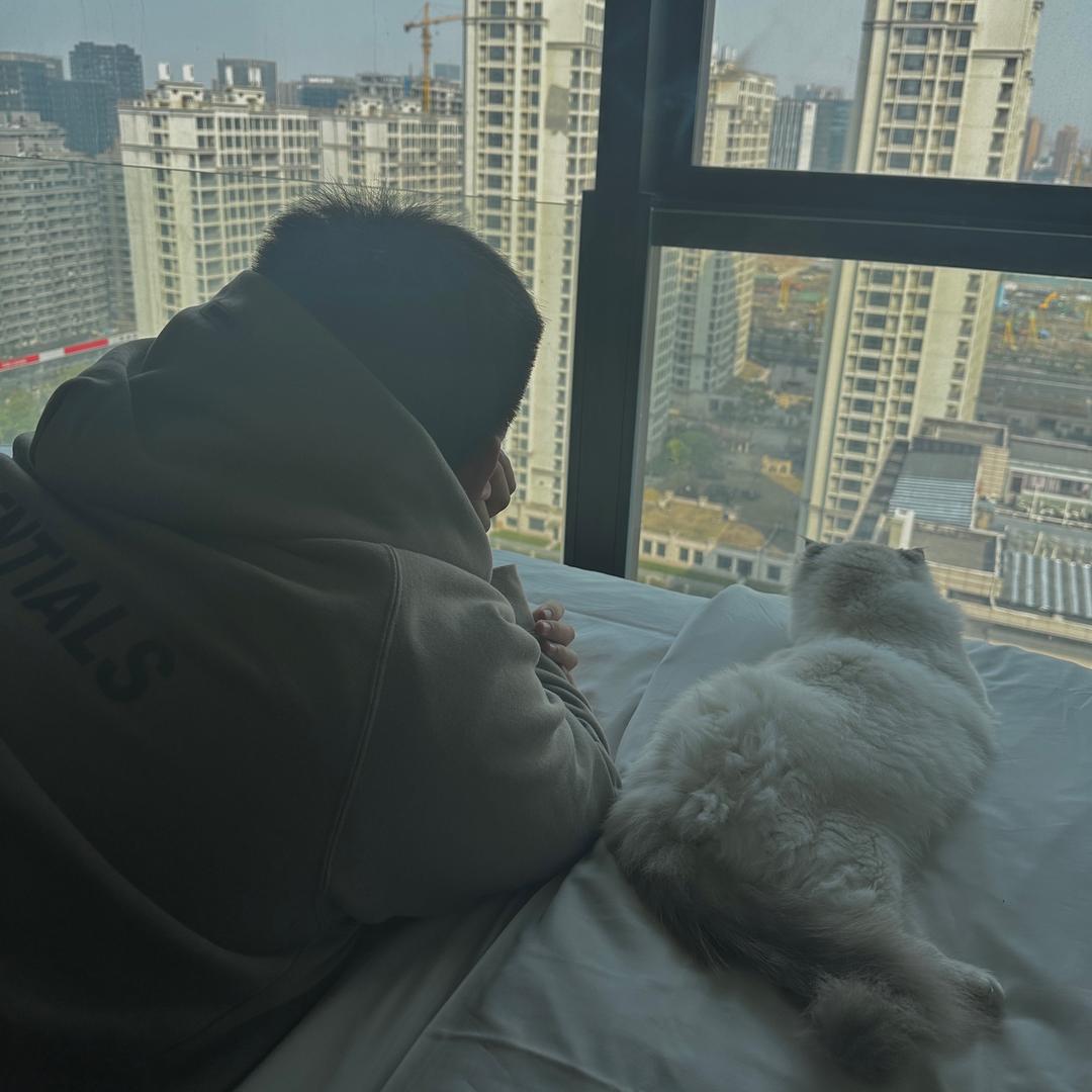 恐龙子