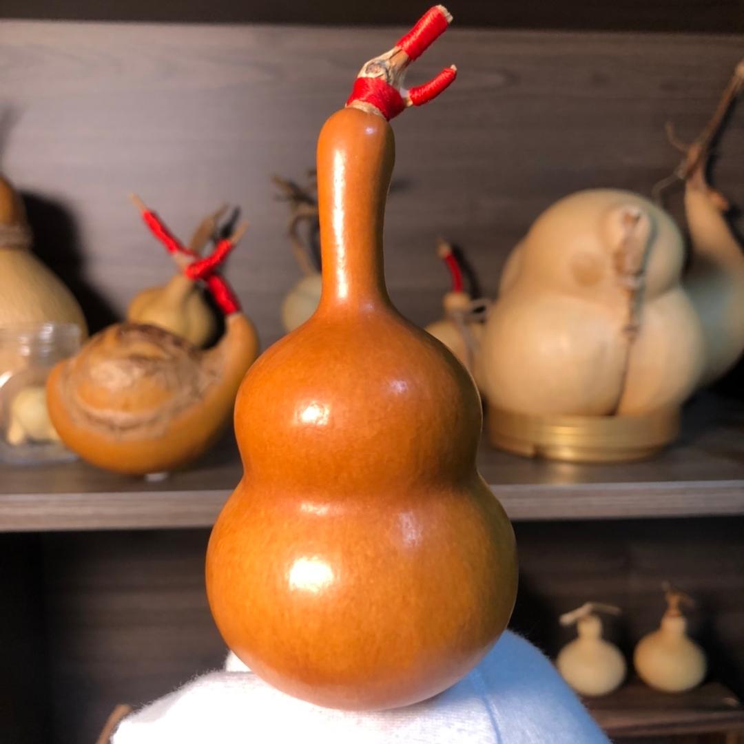 大舅哥葫芦