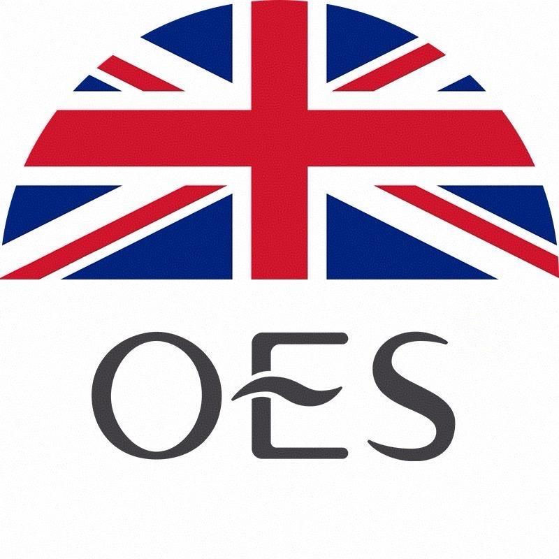 OES艾灸棒