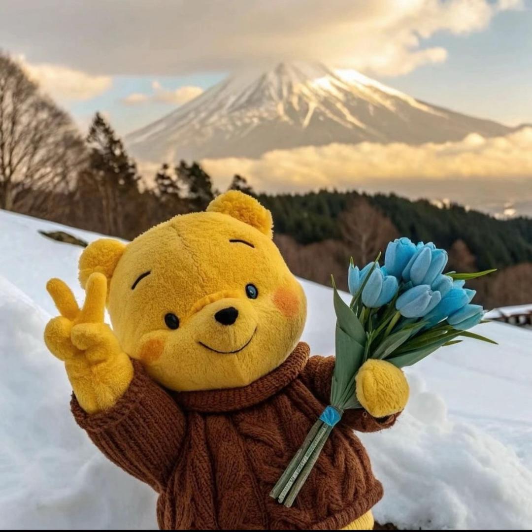 少吃伊颗🥚❤️‍🔥 ʸᶠ.