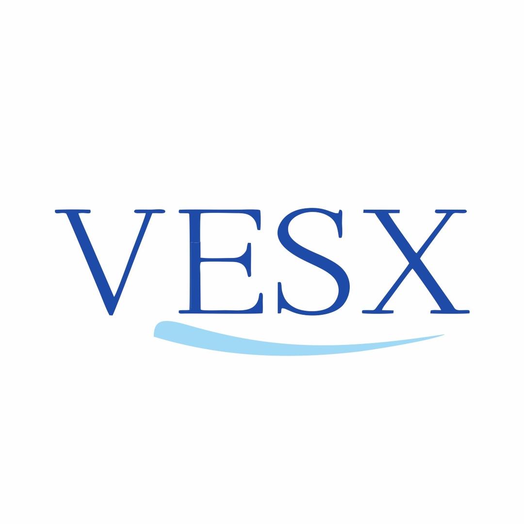 VESX益生元巧克力
