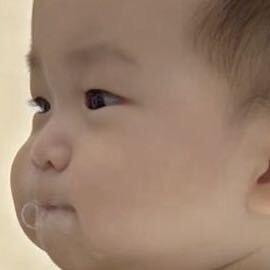 养了颗山竹   🥳