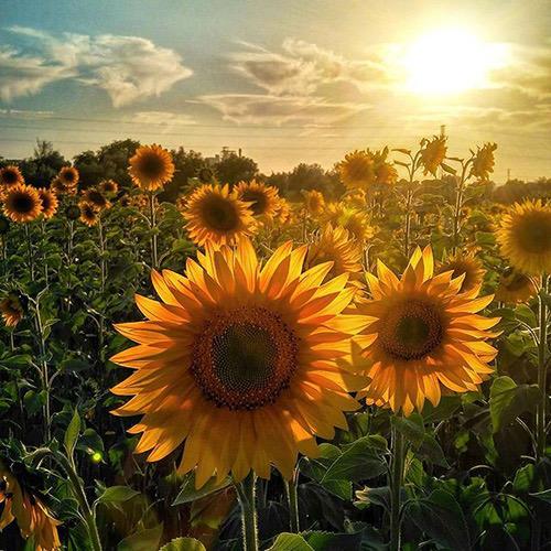 小娜吃喝玩乐🥘