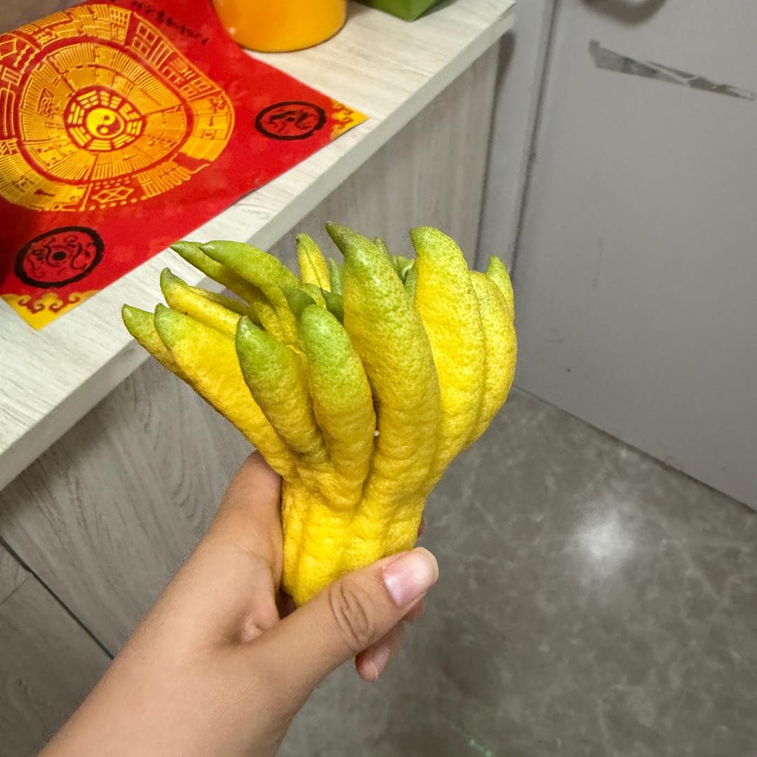 Handshake