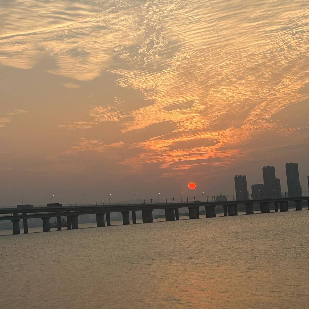 小毛驴！