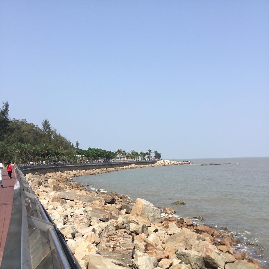 失落的小雨