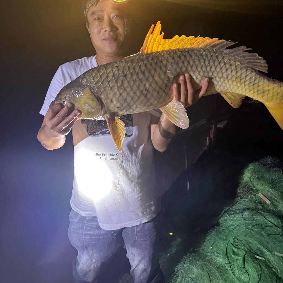 （豫）户外用品