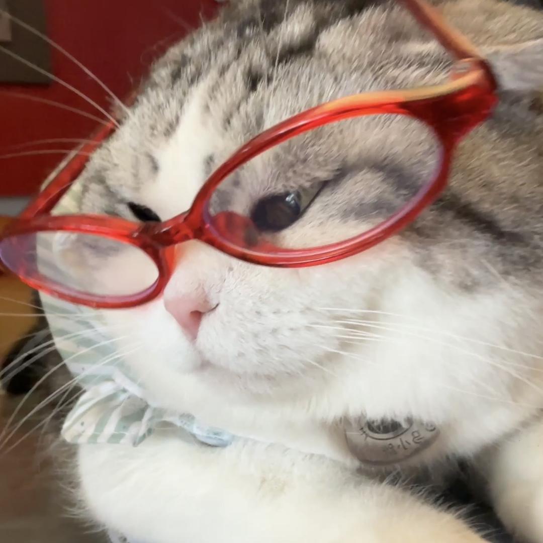 我就吃一口.