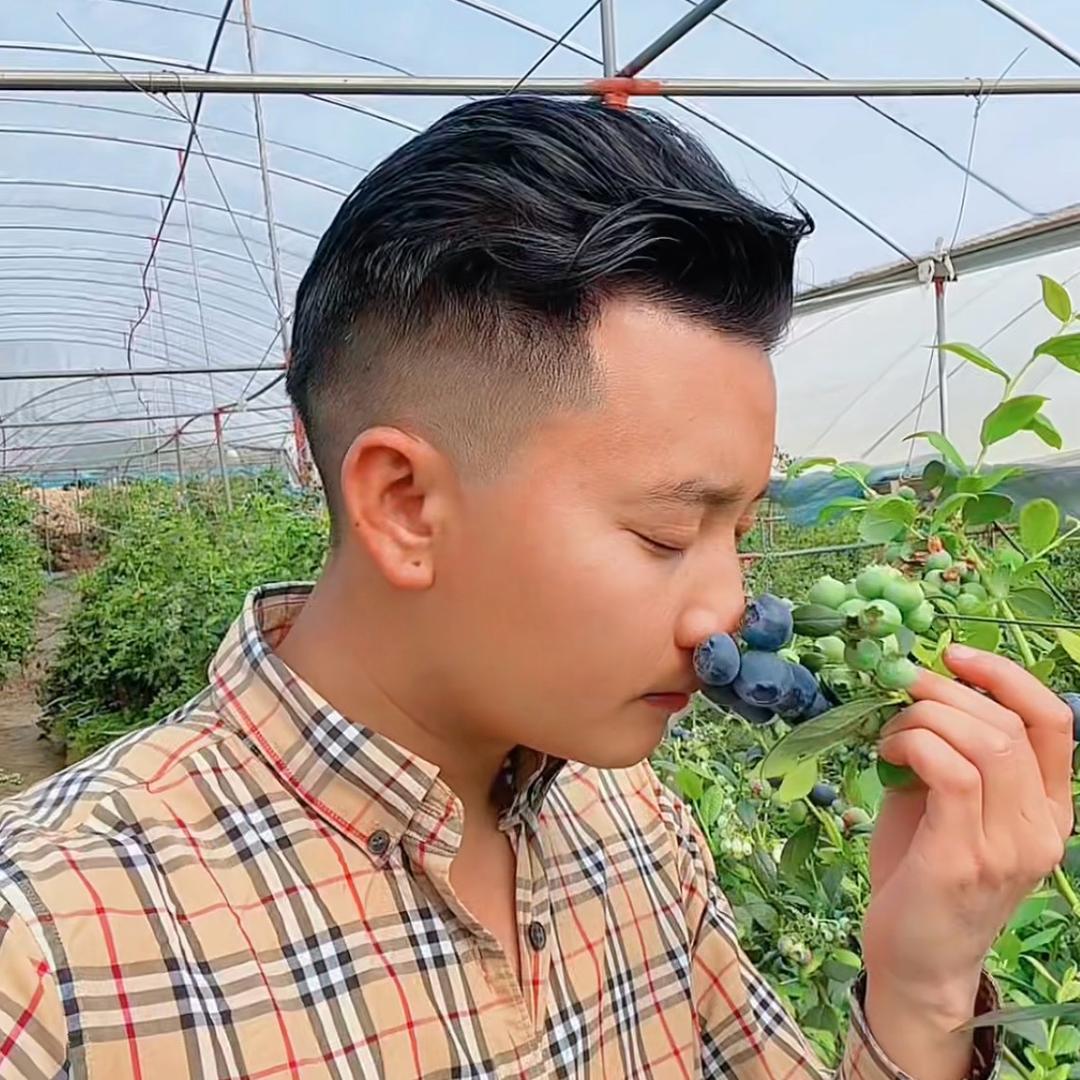 水果王子胡歌