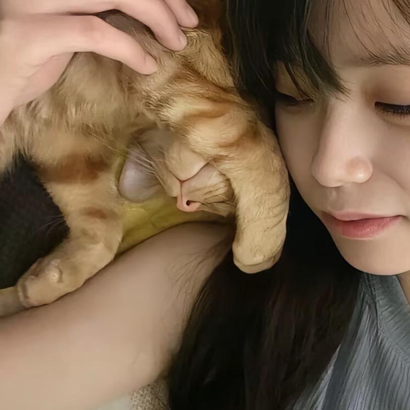 反向延长线
