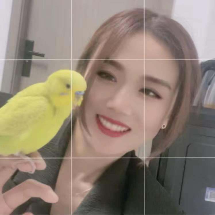 宏跞合橙人故事