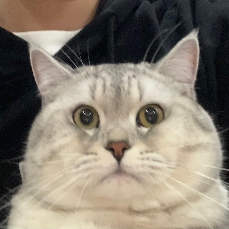 香辣鸡腿堡