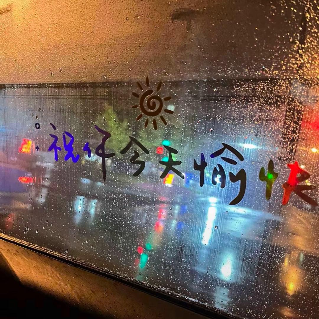 都隐没于淋漓的雨幕中无声无息