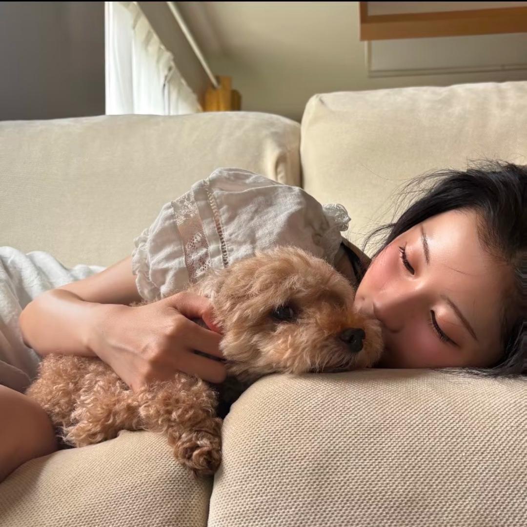 菜菜吃饱再睡⠀