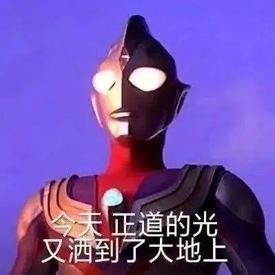 混沌的小肉团.