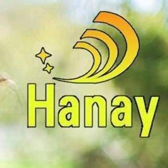 Hanay童装店