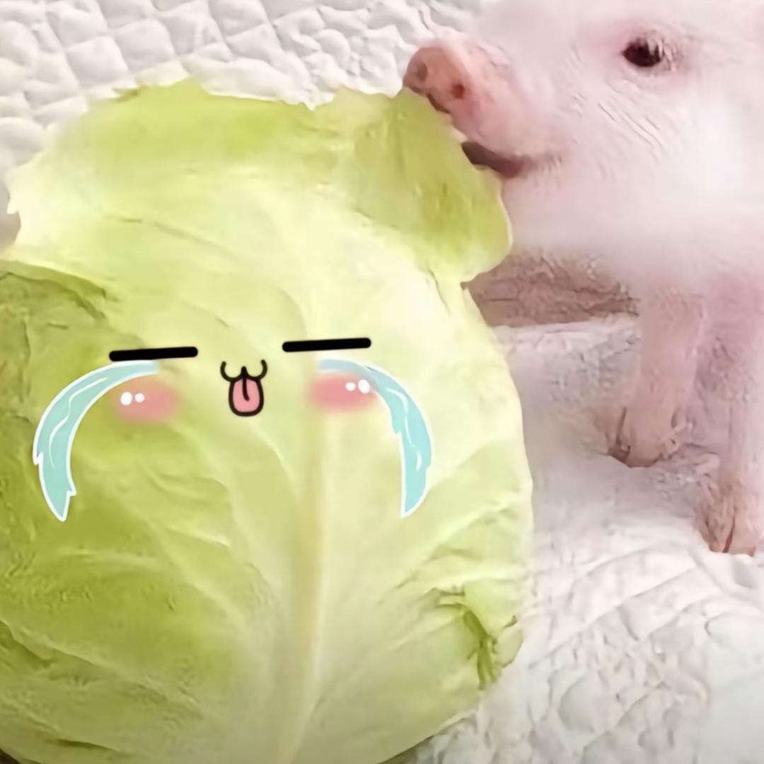 我想吃蛋炒饭