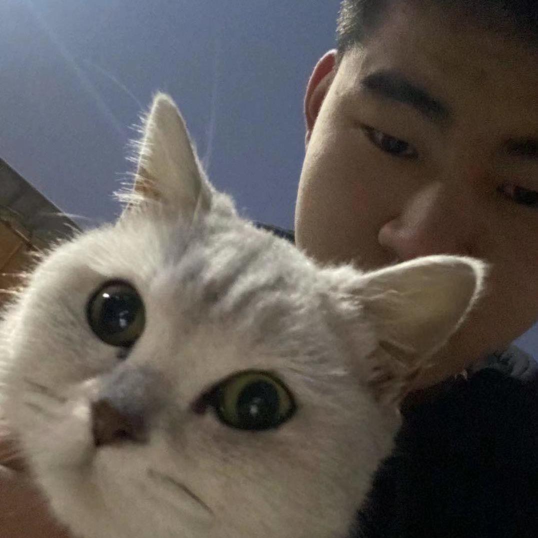 宁作我