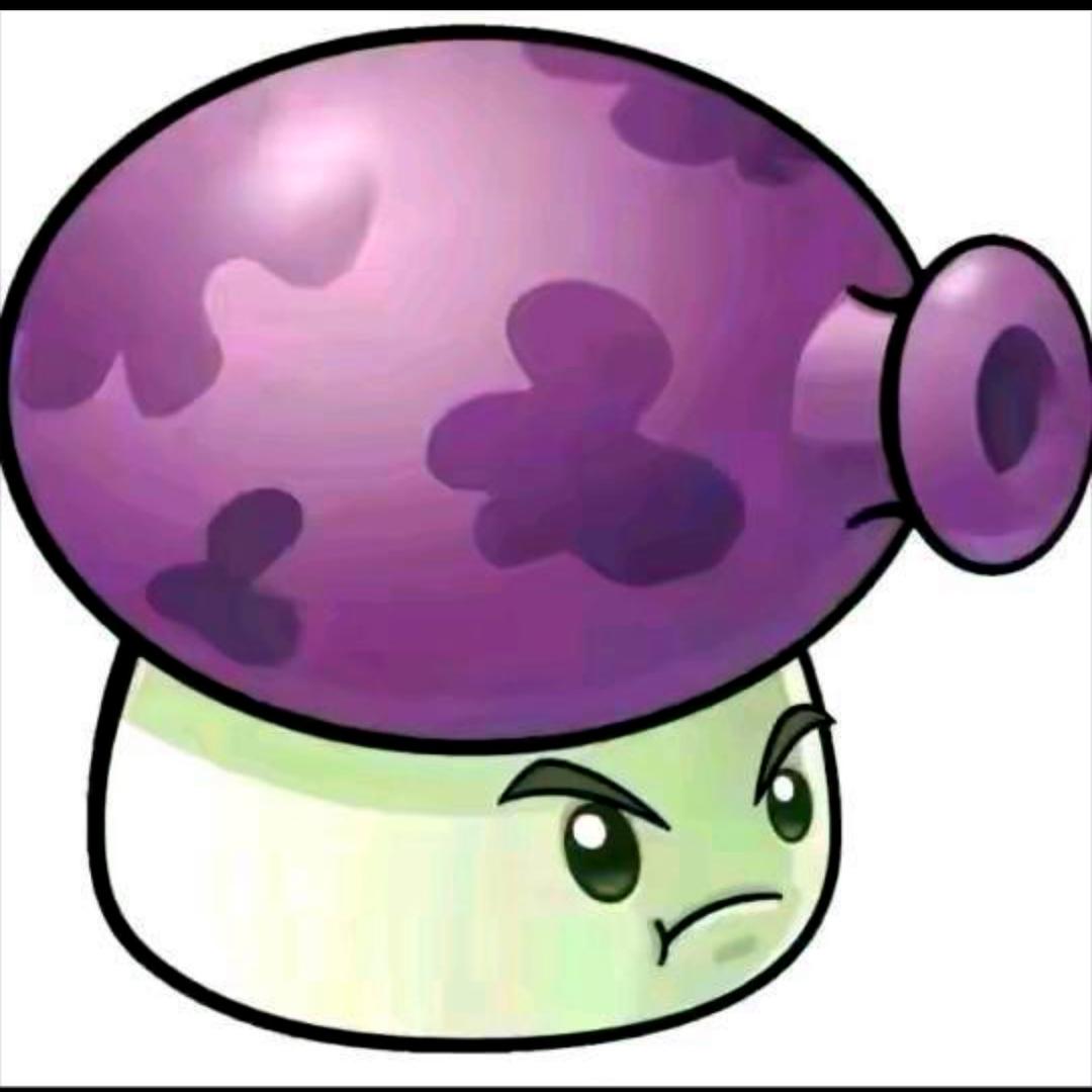 🟣🟣🟣🟣🟣🟣🟣