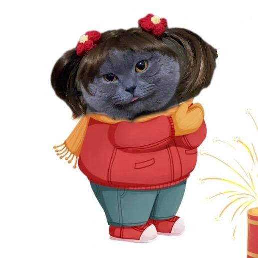 家有两猪🐷.