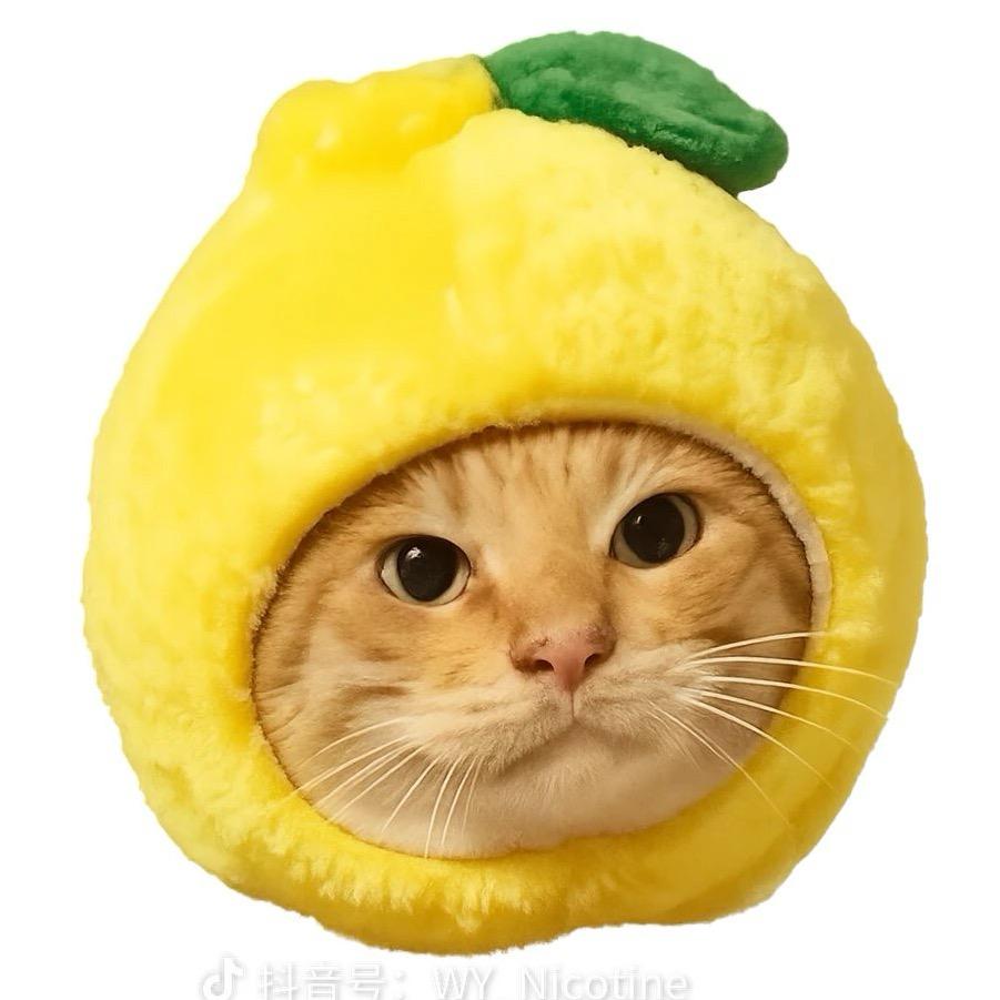 xù繁星
