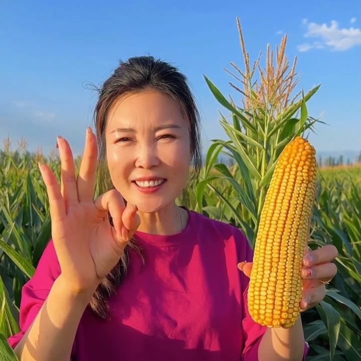 助农种植专业合作社