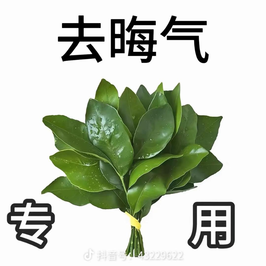 豆豉鲮鱼罐头