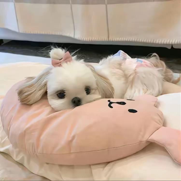 少装萌