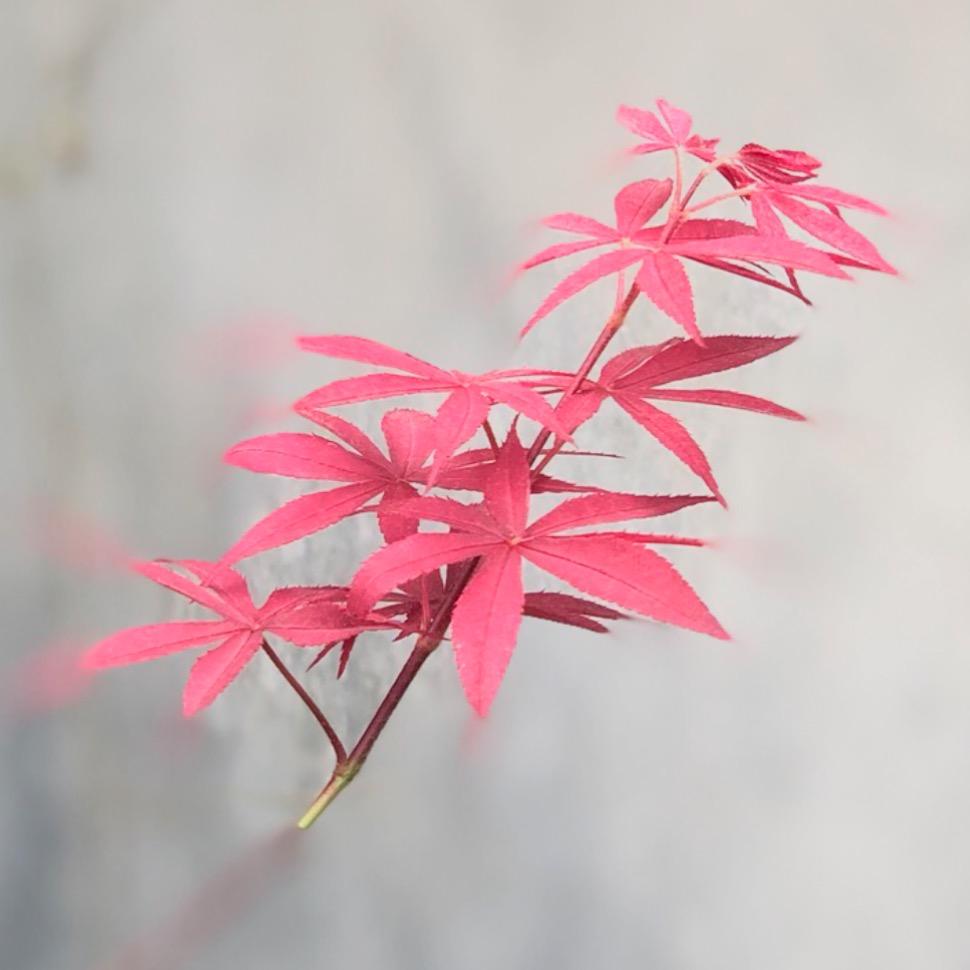 一览无遗