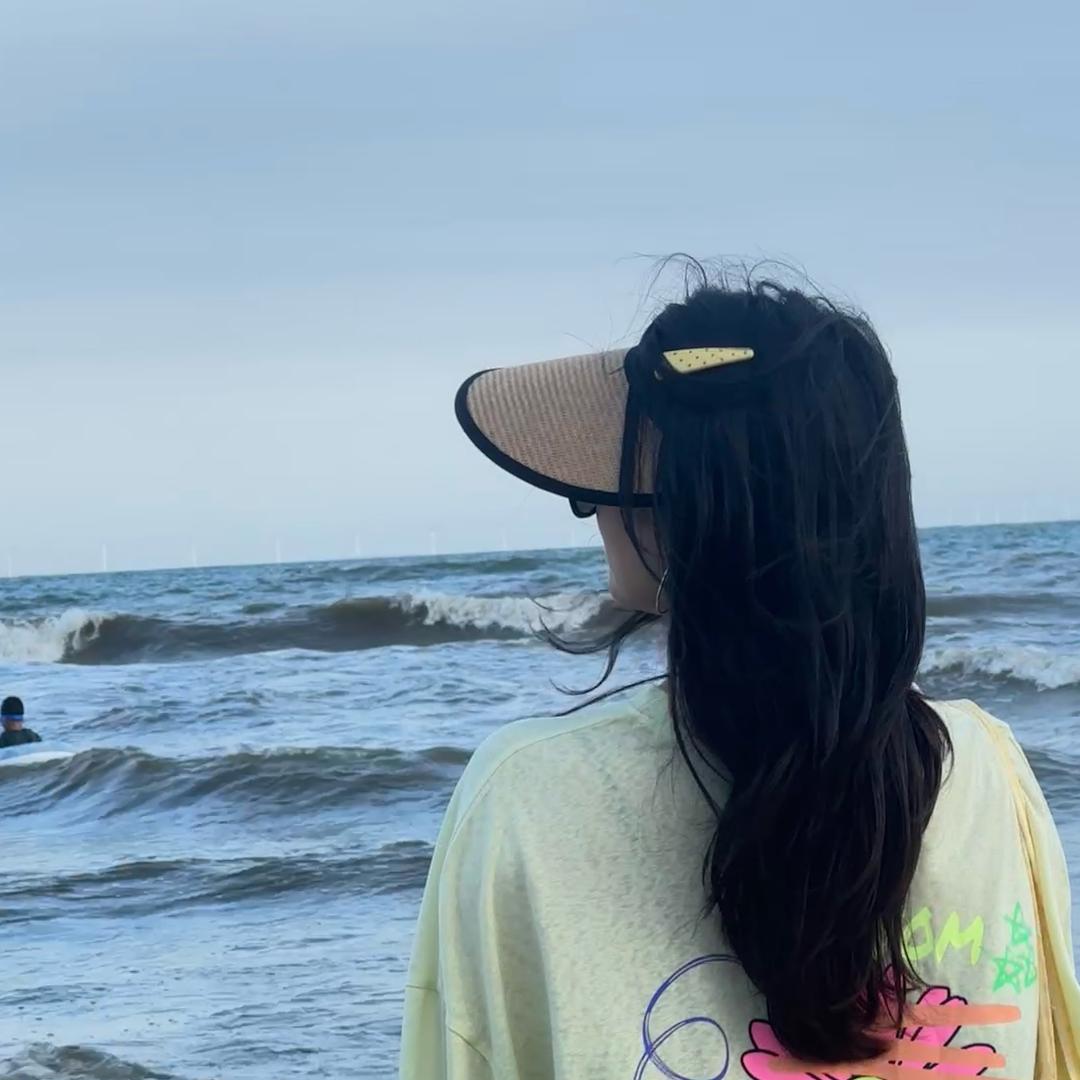 小燕子