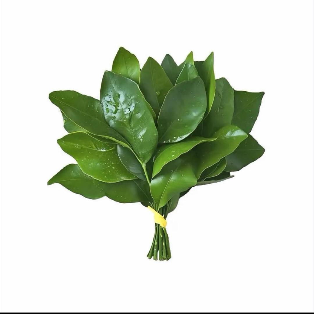 芒趣鲜果KYKN（城关区店）