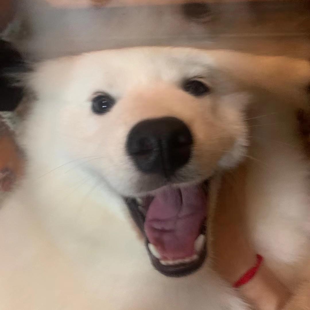 oop
