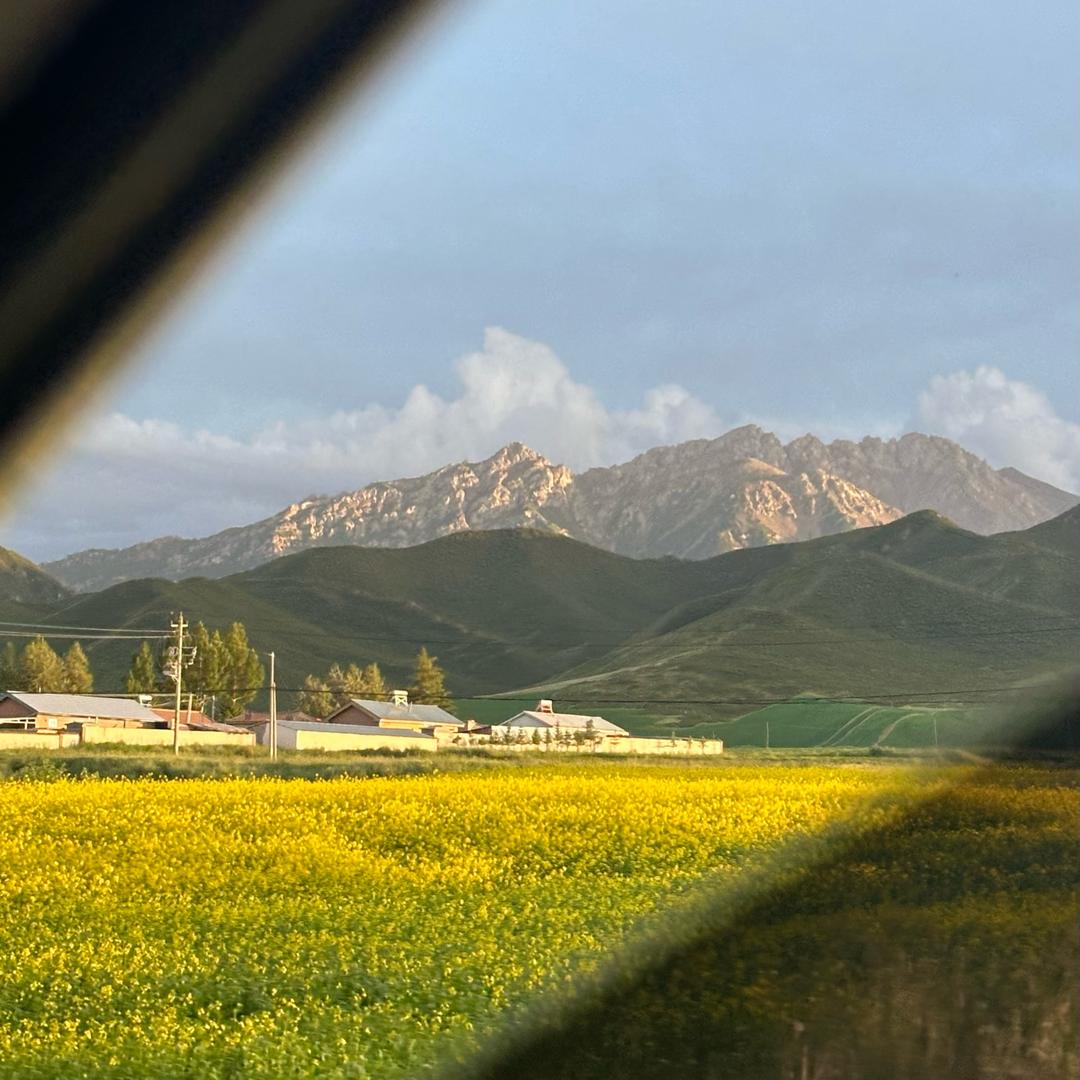 王梦璇x