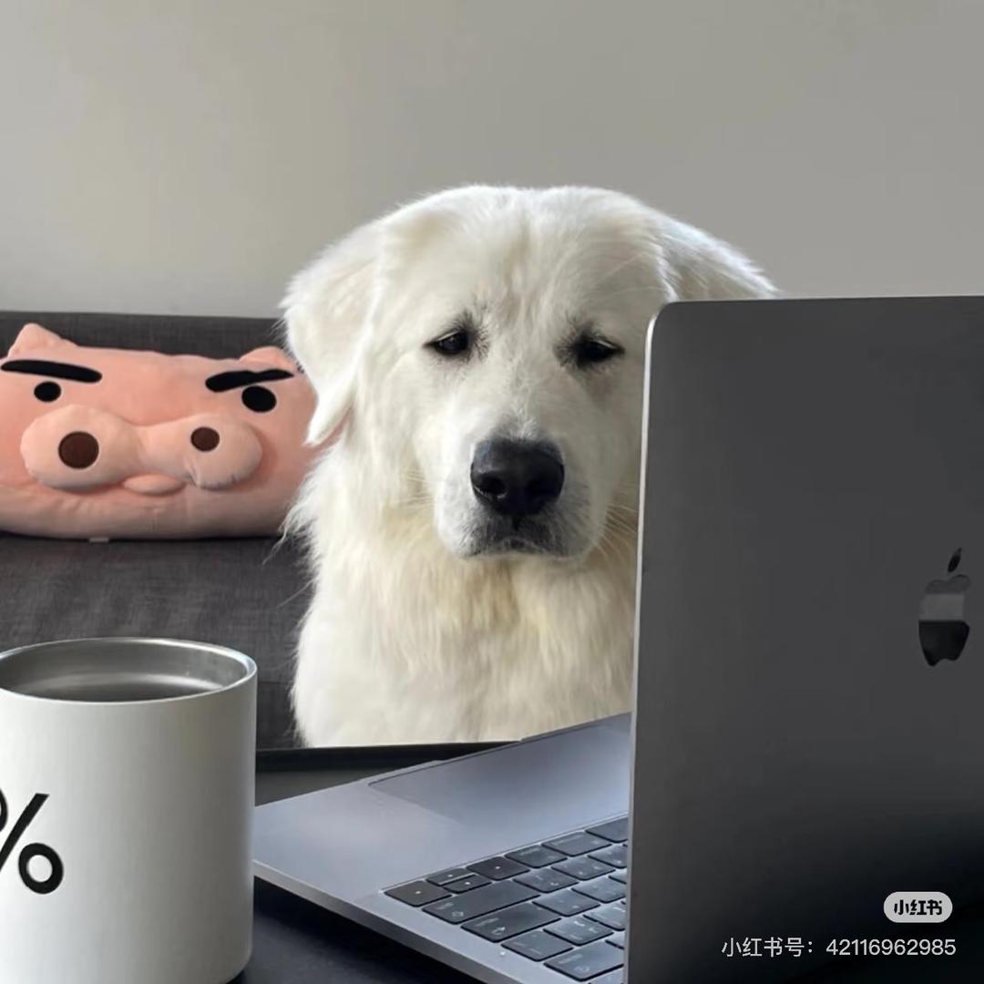 一碗土豆丝