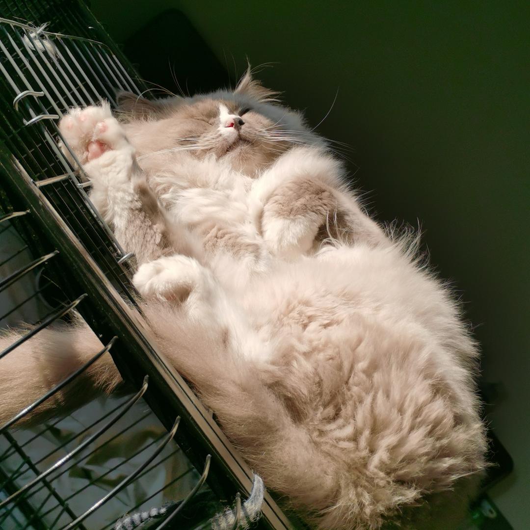 小王同学女装店