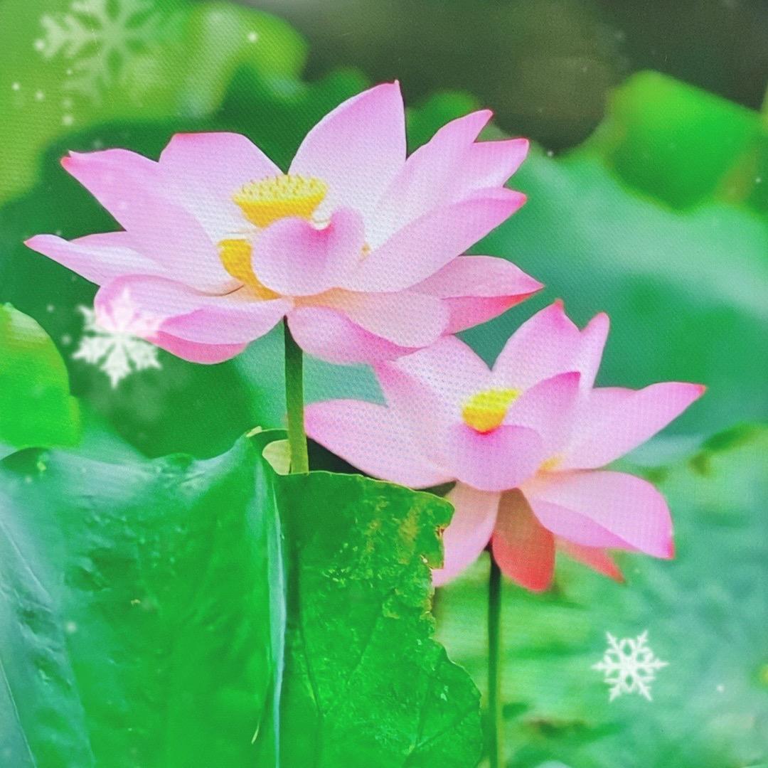 砥砺前行02
