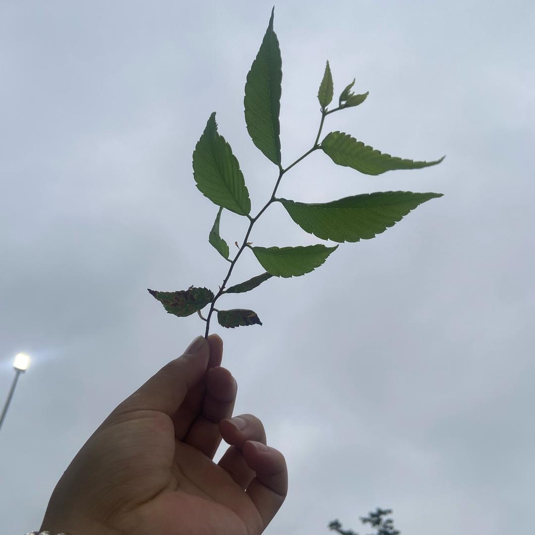 二十八万八