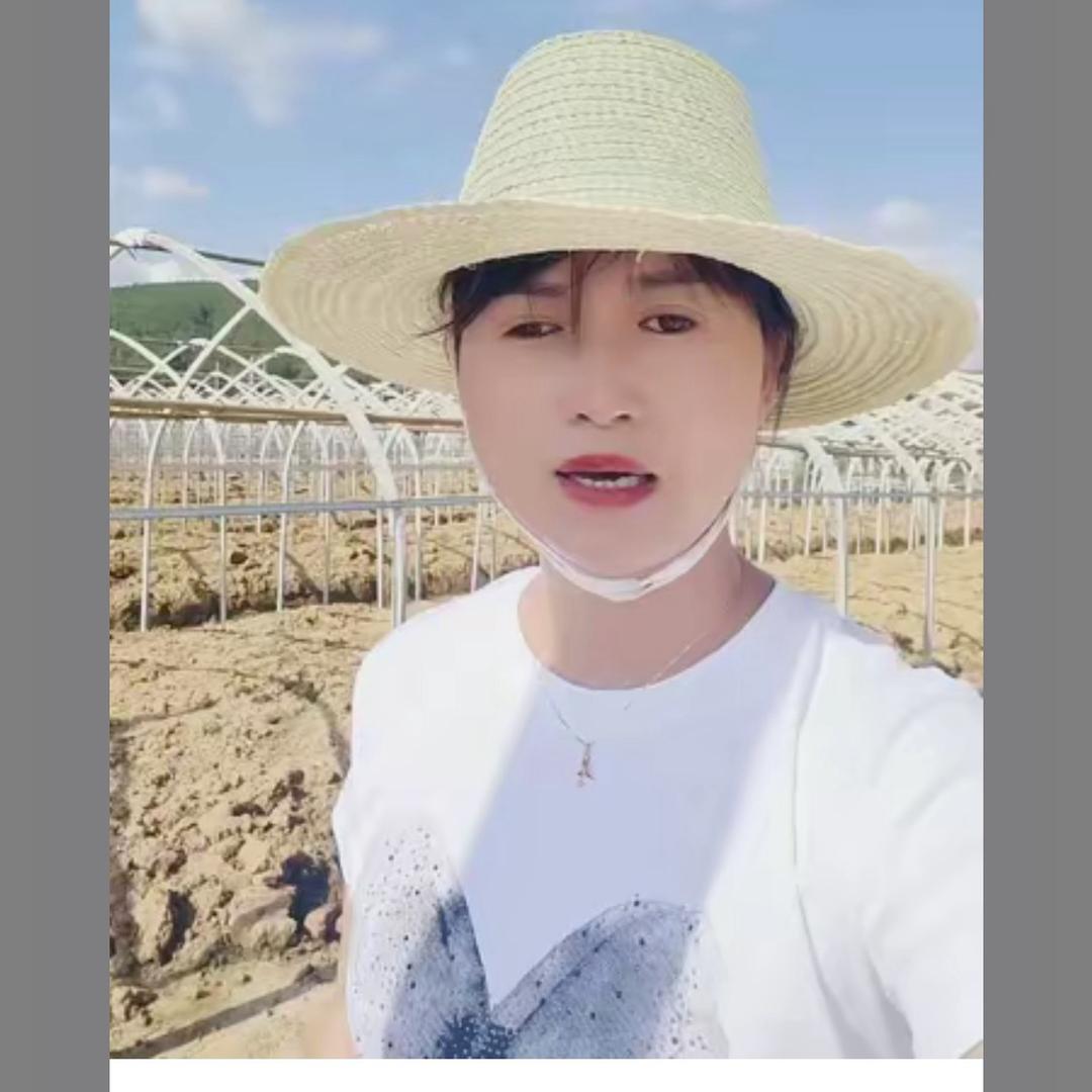 马龙定定（三农人力资源）