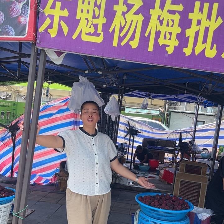 瓯北东魁杨梅批发 |微微