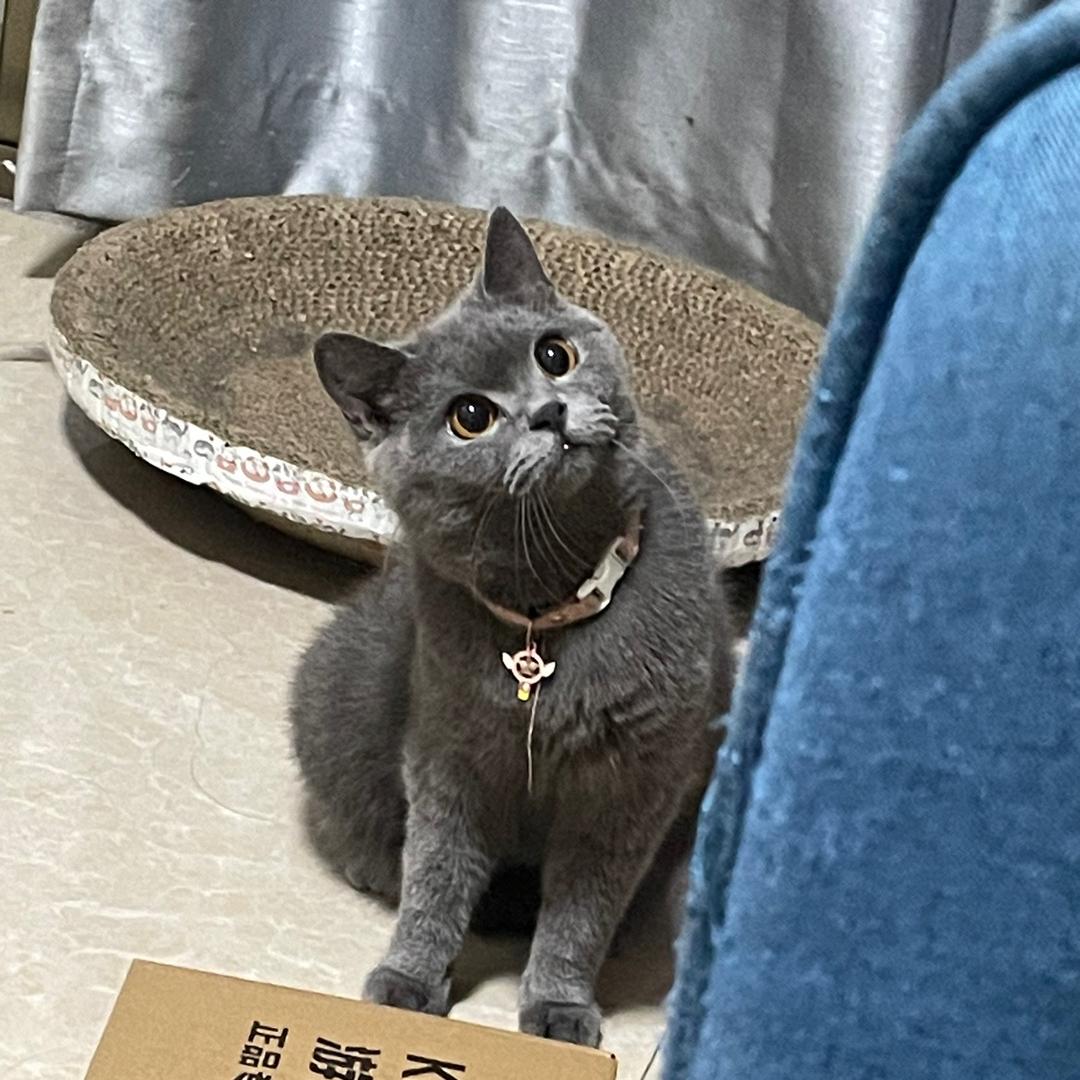 季节呢