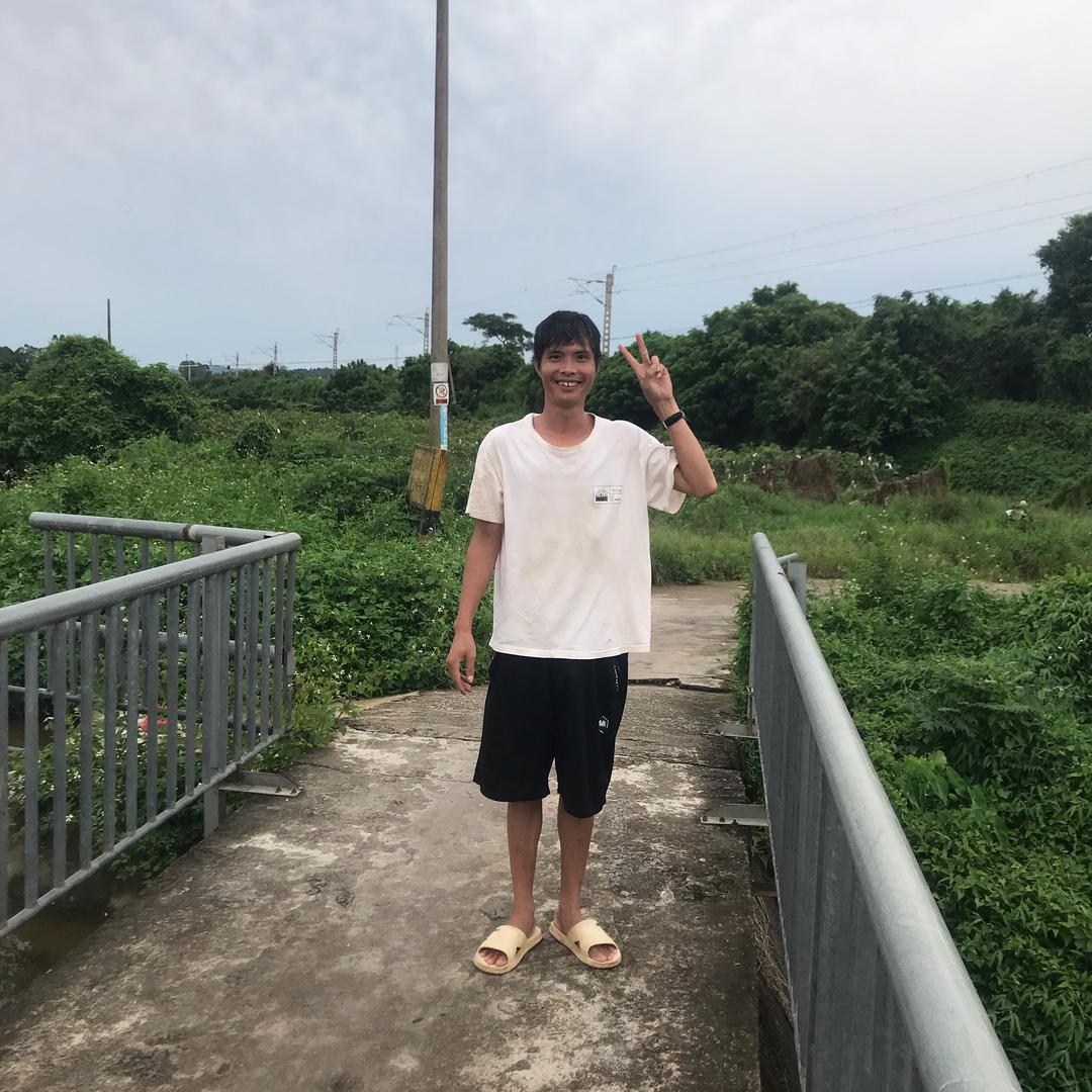 我是打不死的小强