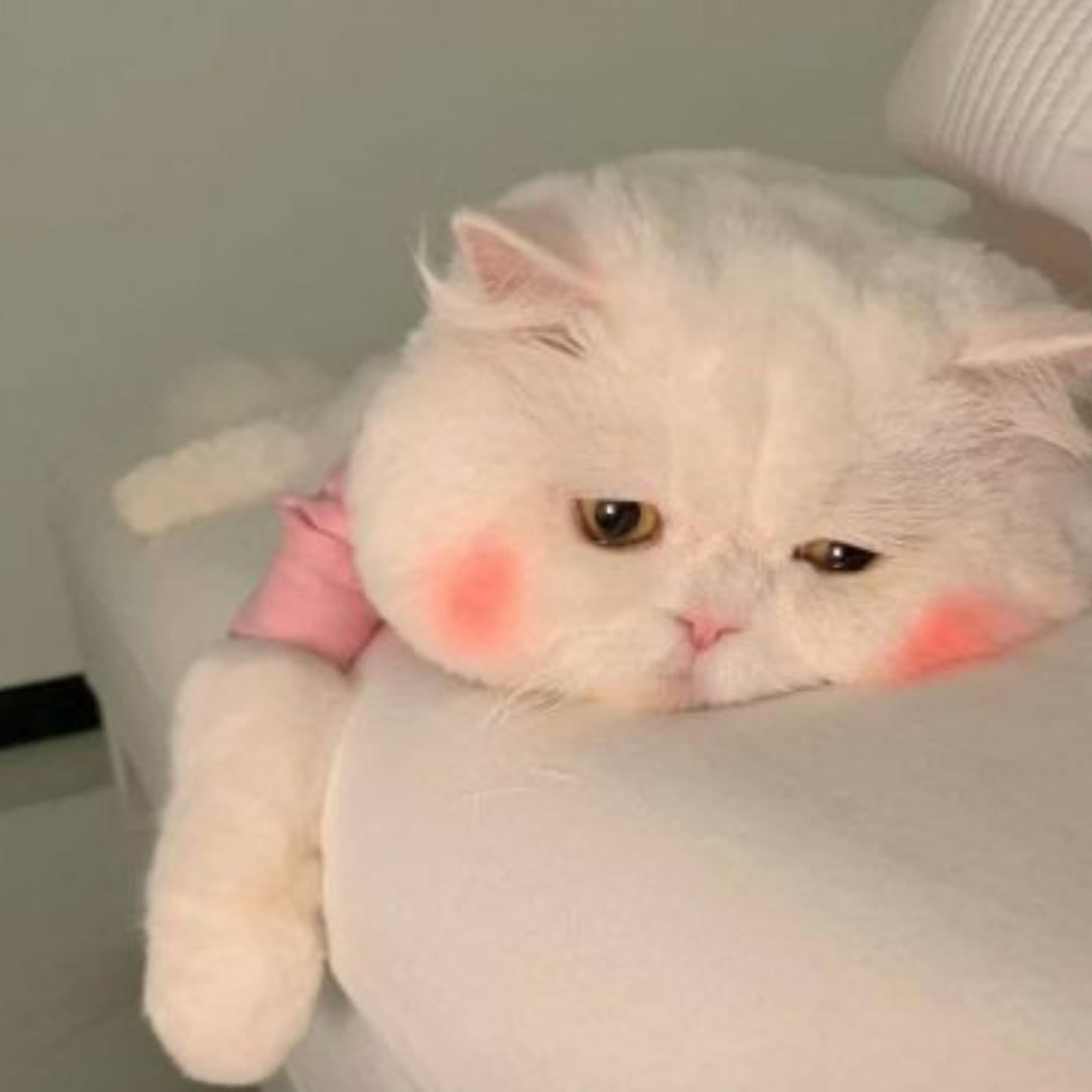 嗯呐