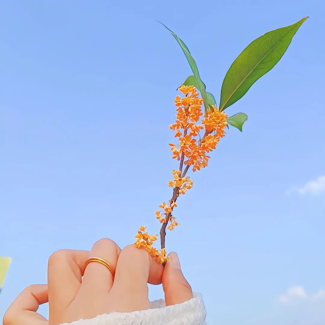@七月头像