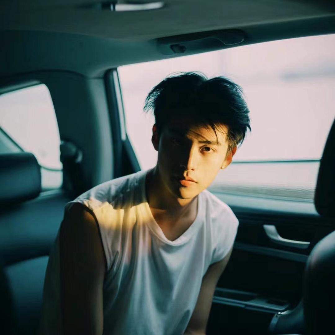 悲伤的小狗
