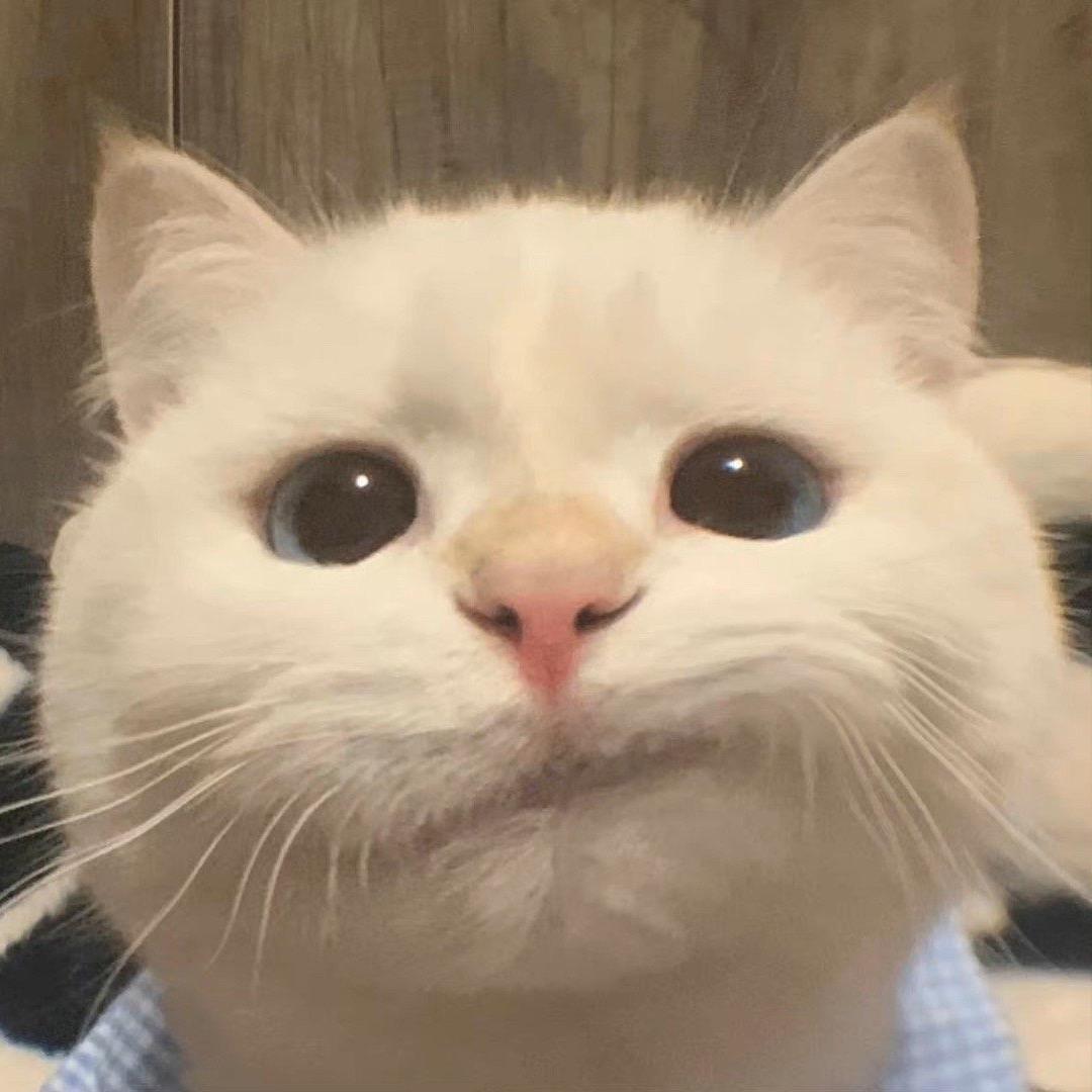 望着山顶追云彩