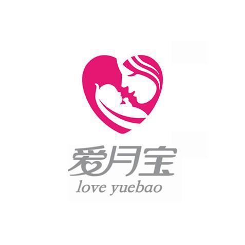 爱月宝月嫂技能训练营2号