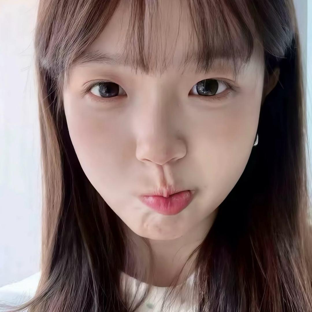 壹是芥子