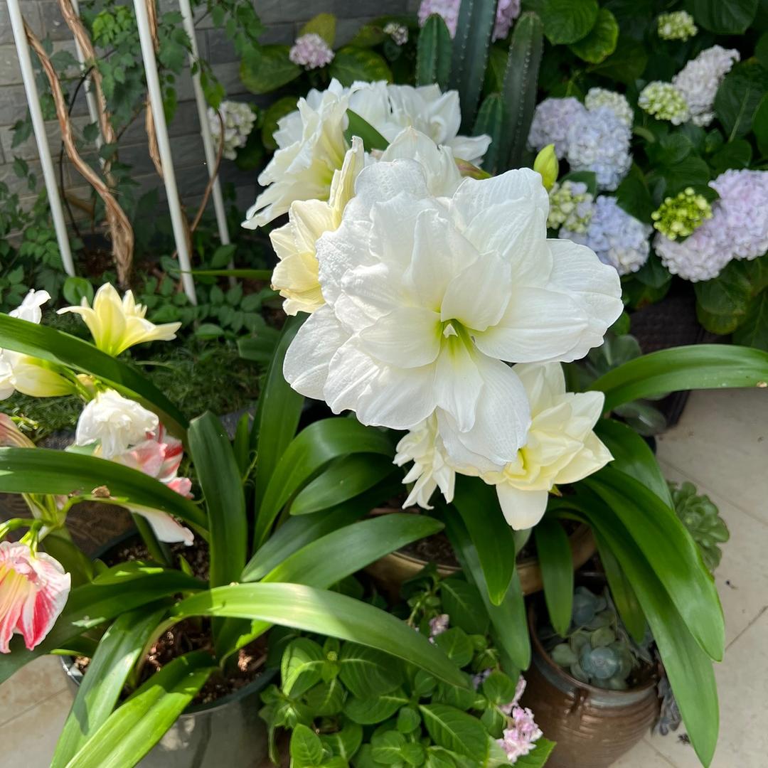 广西（土特产分享）