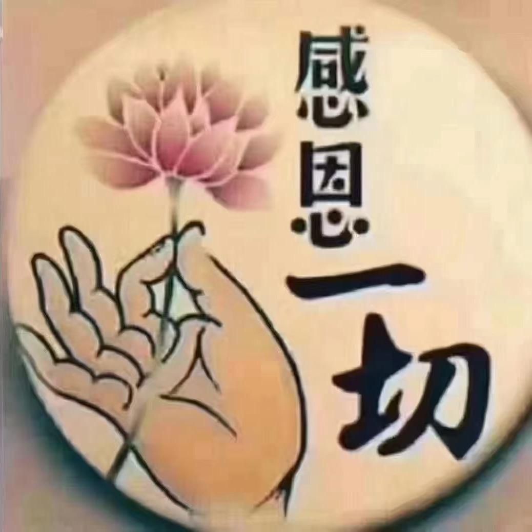 筱瑶 2号