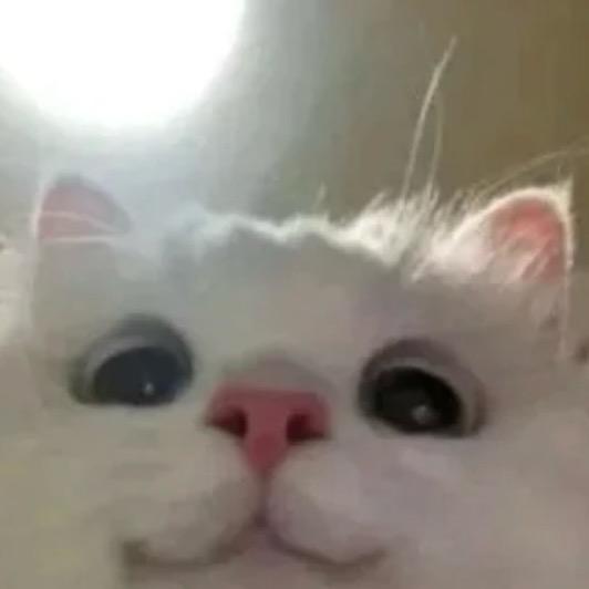 99.